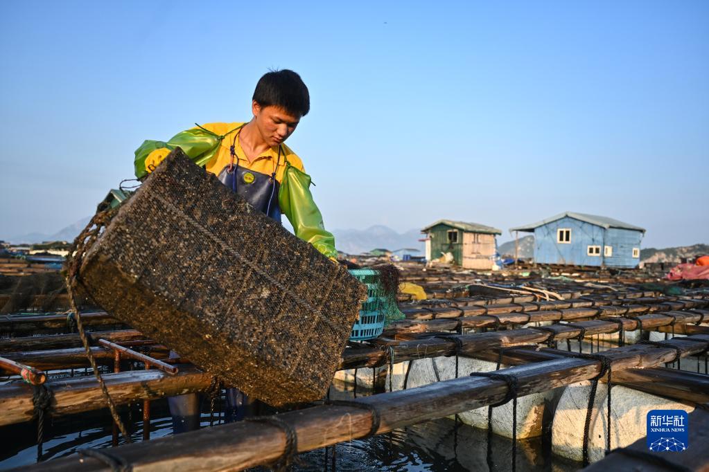 福建连江：海洋产业助力乡村振兴