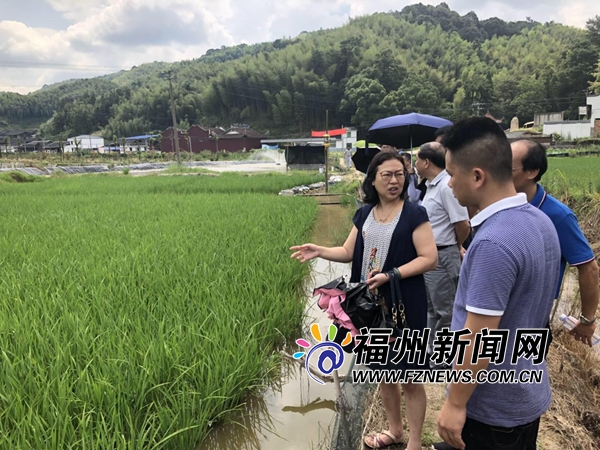 市政协关注稻渔综合种养 回应：纳入现代特色农业扶持政策