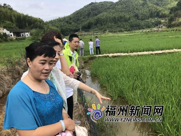 市政协关注稻渔综合种养 回应：纳入现代特色农业扶持政策