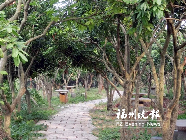 长乐青山村转型生态旅游村 千年贡果引领推动乡村振兴
