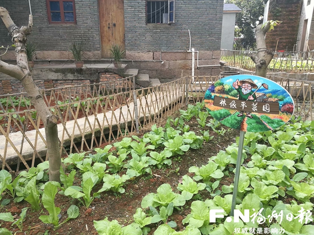 长乐：房前屋后建菜园花圃 为乡村振兴 “增色 ”