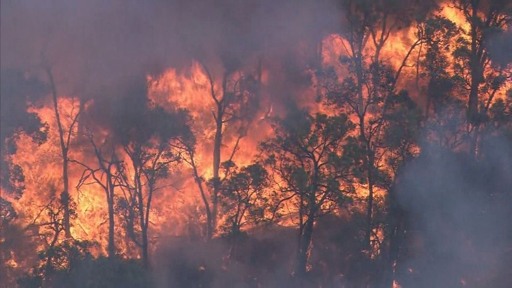 澳大利亚珀斯森林火灾仍在持续 过火面积超9000公顷