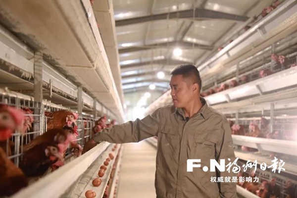 永泰一蛋鸡养殖场实现智能化管理 年销售额可达900万元