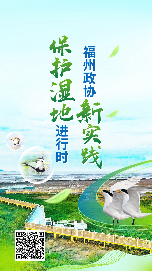 H5丨保护湿地进行时 福州政协新实践