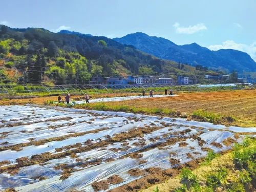 田间地头“新”意浓　“种”出幸福好前景