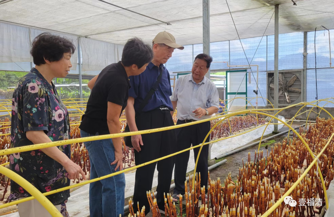 首次培育成功！这个“宝贝”亮相福清！