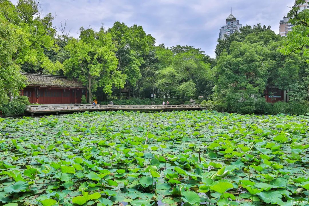 追新看点丨炎炎夏日去哪儿玩？快来福州这些纳凉宝地！