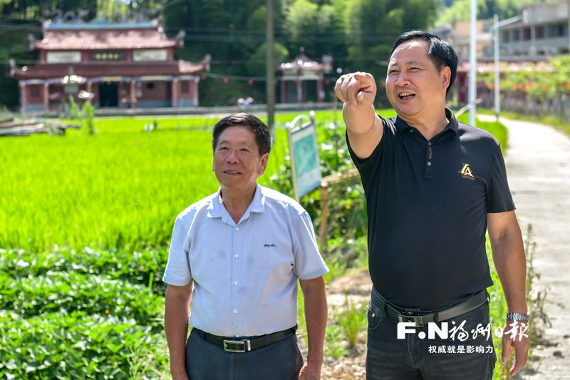 牡丹花开红艳艳 扮靓闽侯县大湖乡马墘村致富路