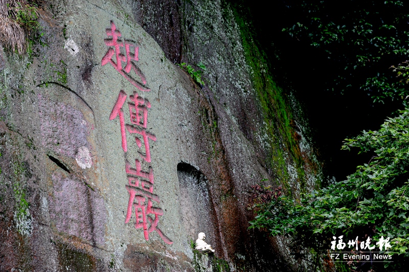 凤凰山下的两只“金凤凰”