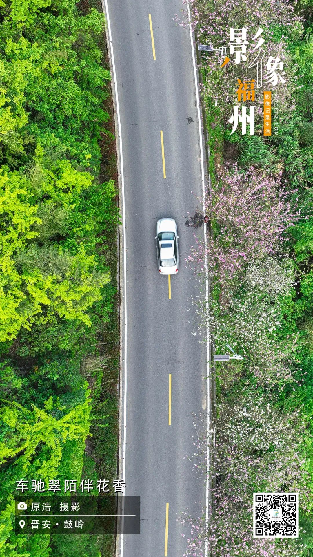 影像福州｜车驰翠陌伴花香