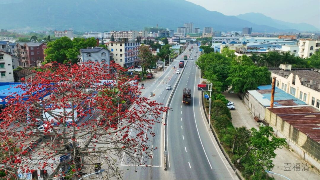 沿途美景惊艳，福清北大门高颜值道路绝了！