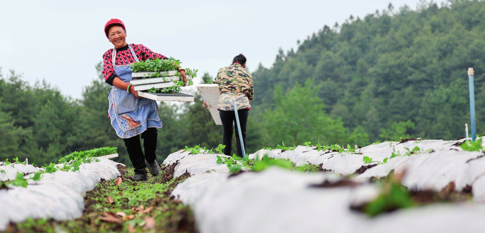 瞭望·治国理政纪事｜做好绿水青山就是金山银山这篇大文章