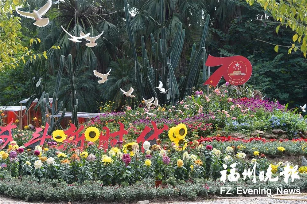 福州西湖菊花展正式亮相！20000多盆 600多品种！
