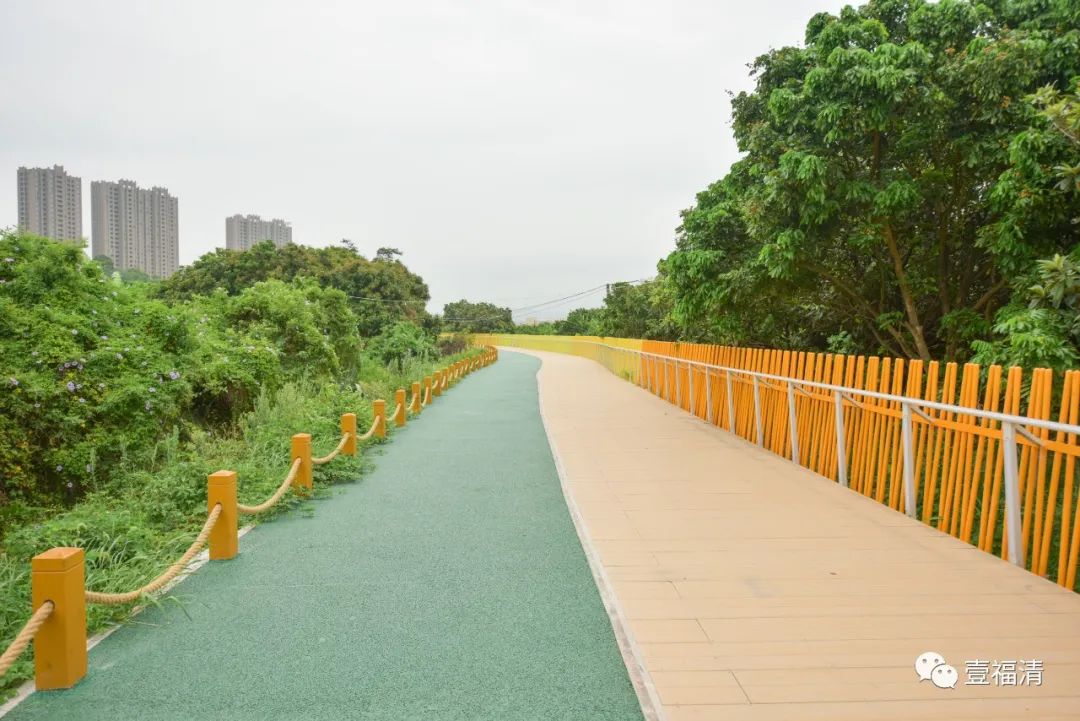 惊艳！福清“山体公园步道”开挂！步步都是打卡点！