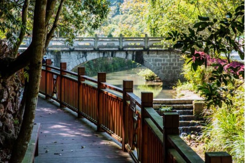 连江县江南镇梅洋村：梅花朵朵向阳开，用心铺就致富路