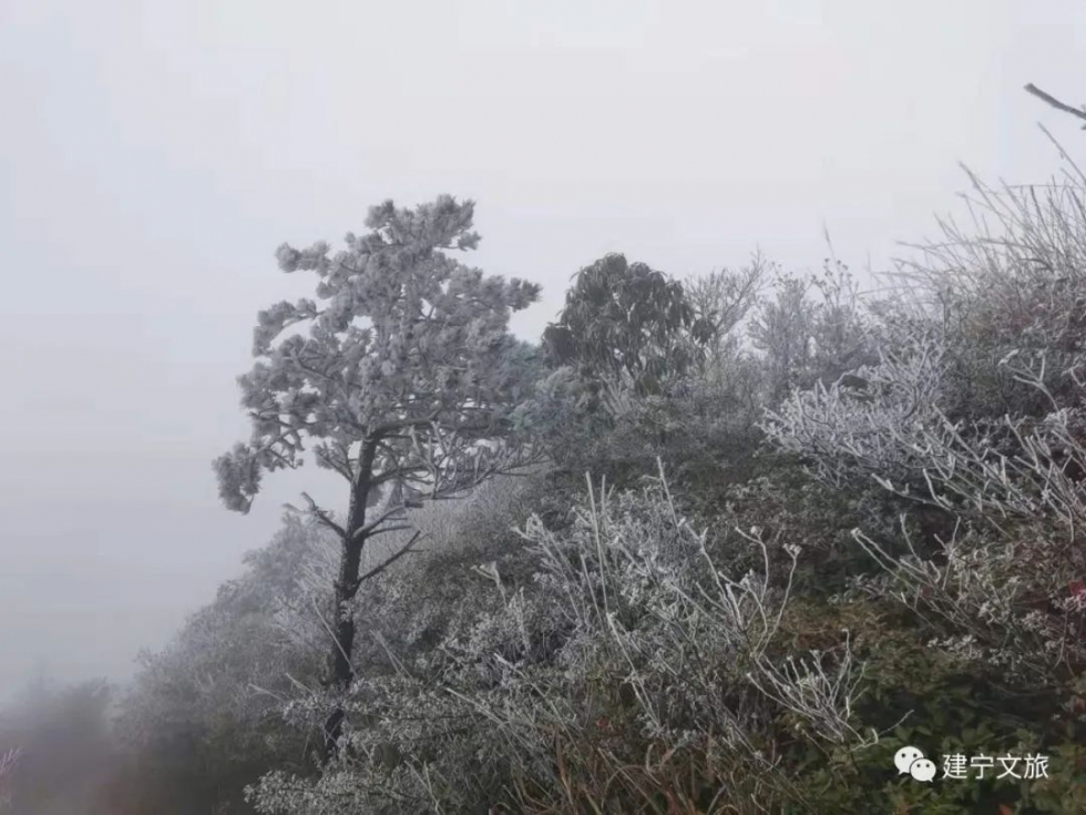 台风胚胎西进，要下雨了！未来几天福建的天气是……