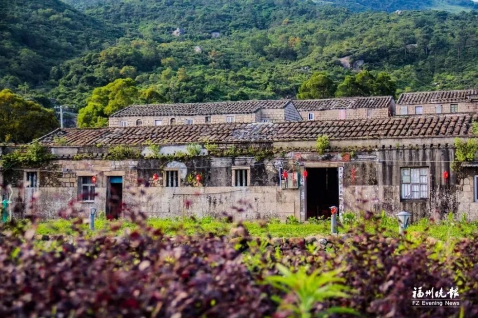 惊艳！福州版“呼伦贝尔大草原”在这里