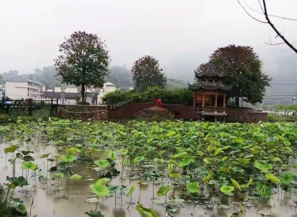 五一假期，来闽清坪街村体验一场慢生活吧！