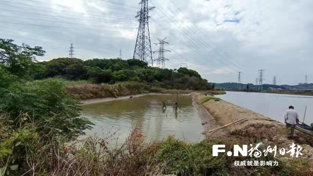 福清在全省率先试点“造地”：化腐朽为神奇 变坑塘为耕地