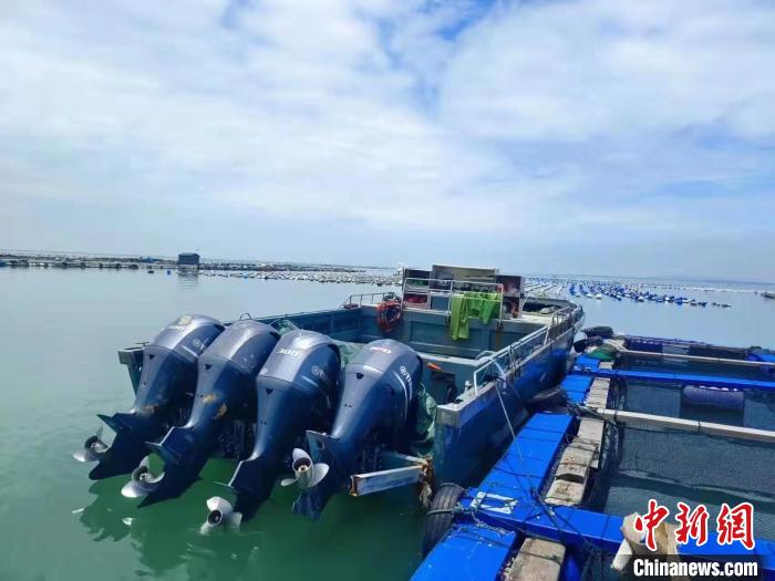漳州海警查获4艘非法改装大马力快艇