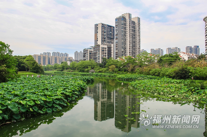 浮香绕曲岸　花影满华池