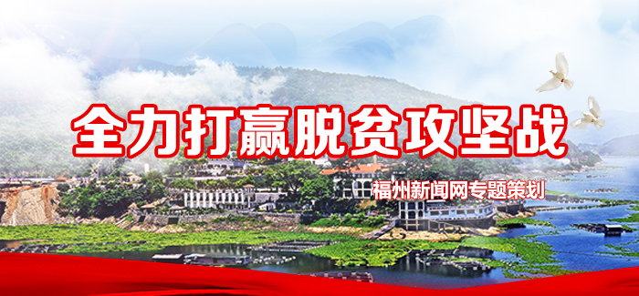 金树银树不如橄榄树：闽清梅埔村白河江自然村人均年收入12万元