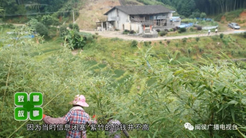 “竹”够特色！快来看看闽侯大湖这个“世外桃源”村