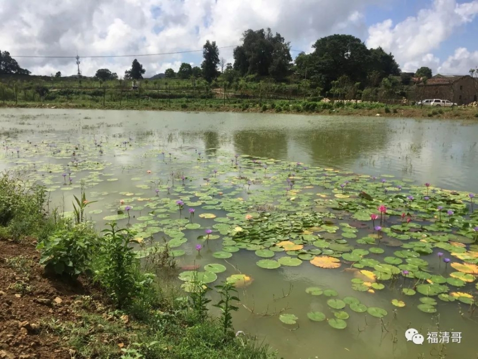 福清南岭镇：落实治水新举措　打造水美新南岭