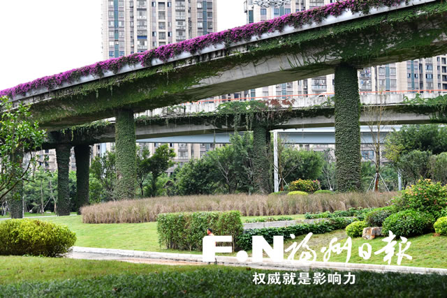 林浦互通全线添新绿造新景 打造5.3万平方米生态长廊