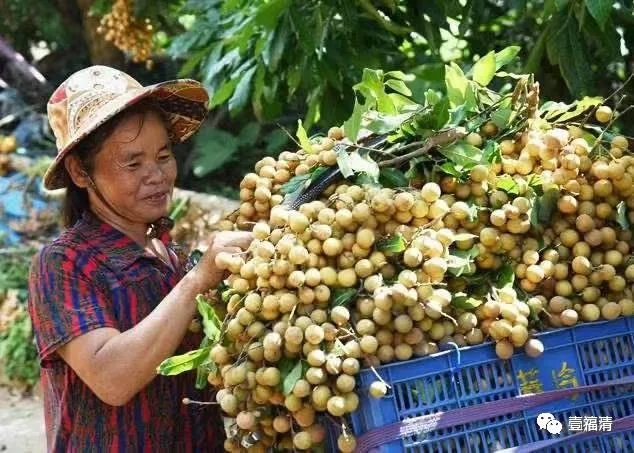 “颜值”提升！这就是福清的“幸福图景”！