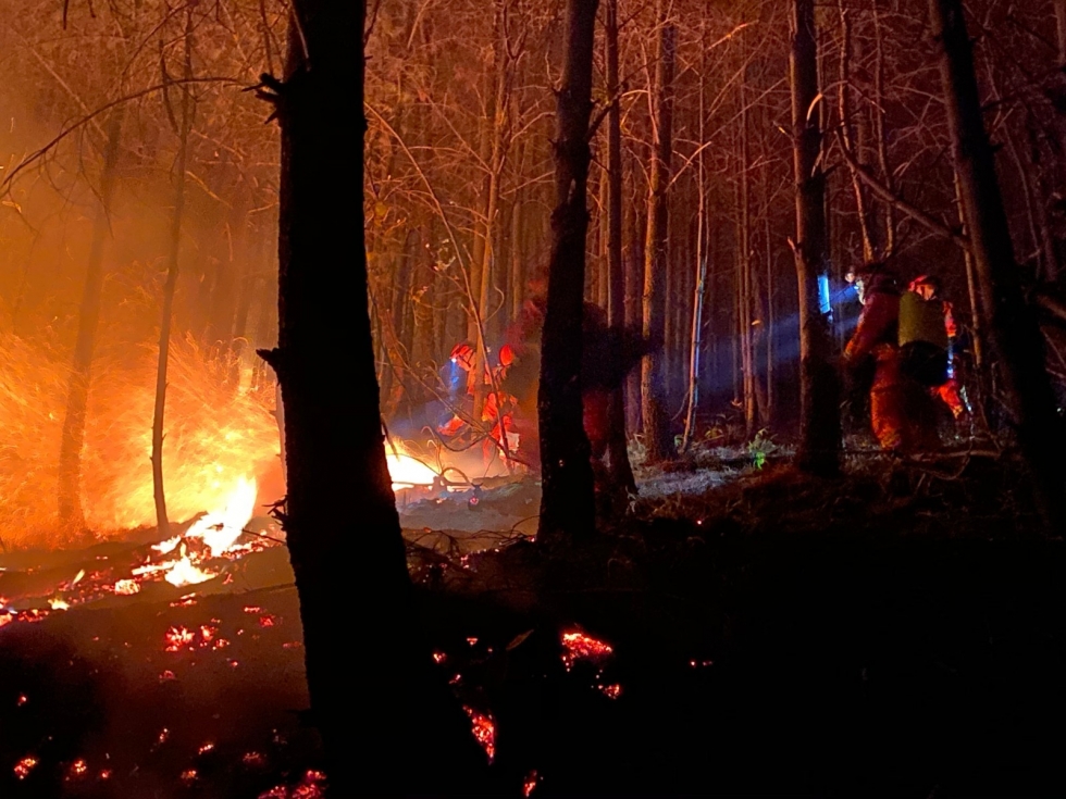云南​昆明盘龙发生山火，驻地森林消防队伍正紧急扑救