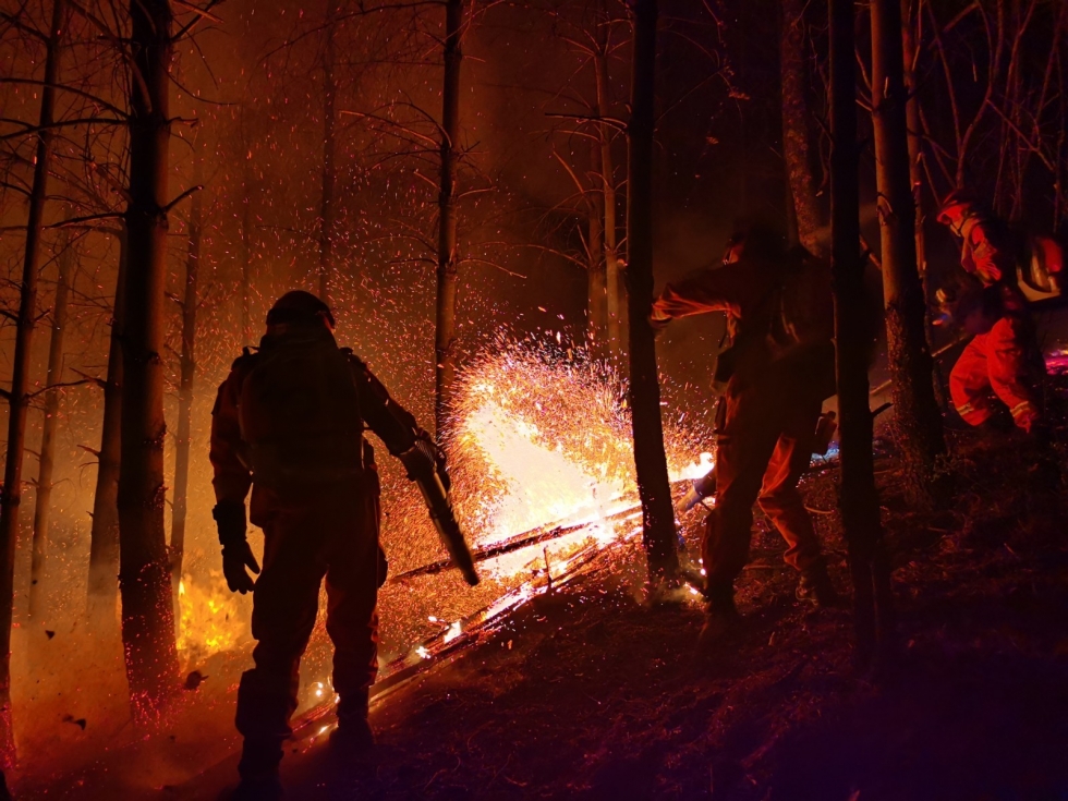 云南​昆明盘龙发生山火，驻地森林消防队伍正紧急扑救