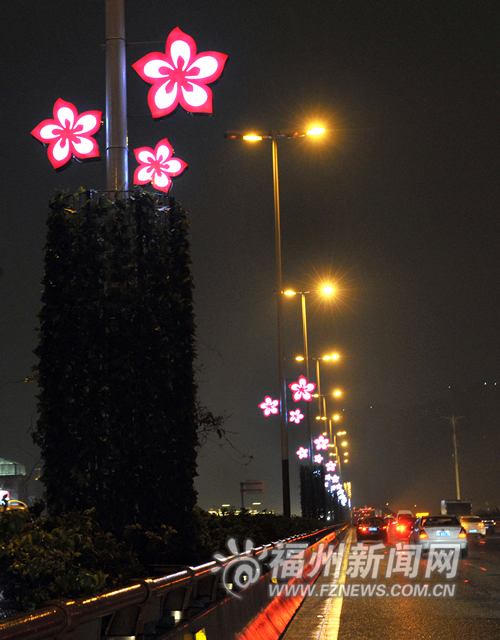 路灯杆装饰将在城区推广　围绕“茉莉花”等主题